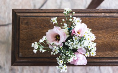 Green Funerals: 6 Eco-Friendly Options for Your Remains