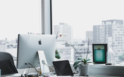 Protect Your Profits: Don’t Gamble on Business Insurance