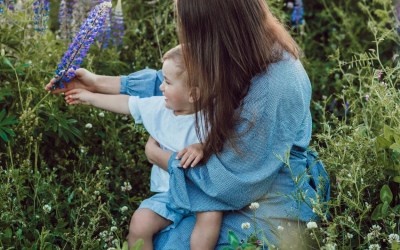 Common Estate Planning Questions Part 1 of 2 – On How to Handle Your Assets