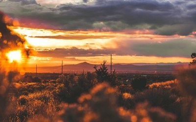 Gene Hackman’s Estate: A Wake-Up Call