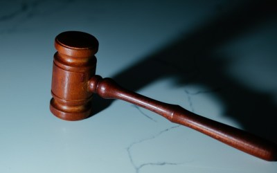 Frozen Accounts, Court Delays, and Grief: What Happens in the Probate Process