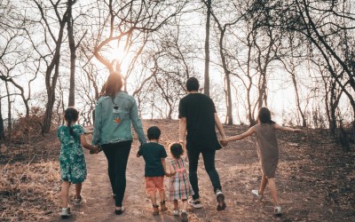 Creating a Trust in Your Will vs. Creating a Living Trust: Part 1