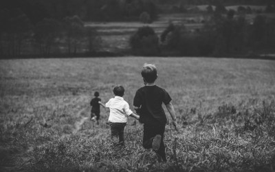 You Made a Will. Here’s What It Can’t Do.